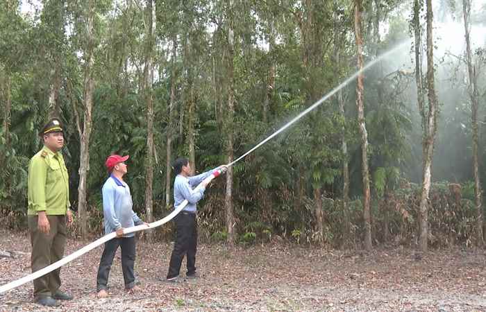 Tập trung phòng, chống cháy rừng (11-06-2024)